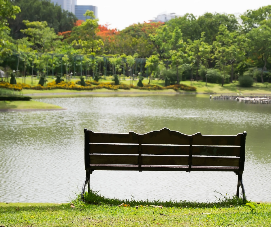 Bench in park overlooking pond